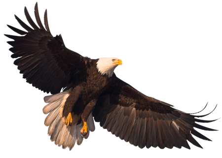 Eagle